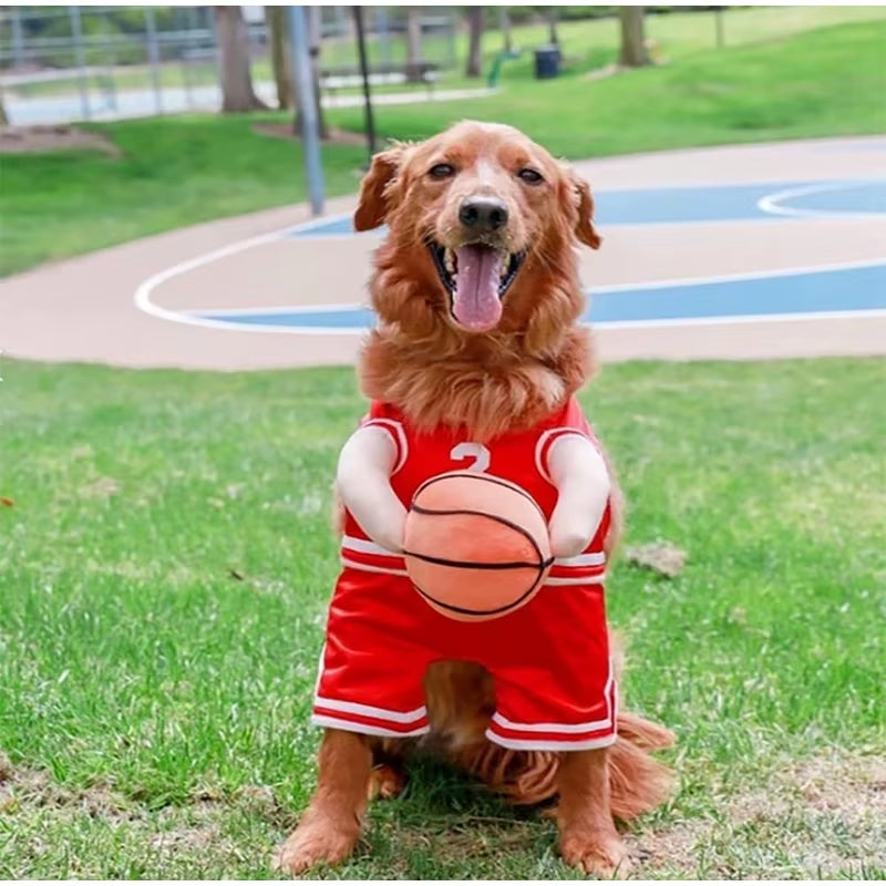 Dog Basketball Costume