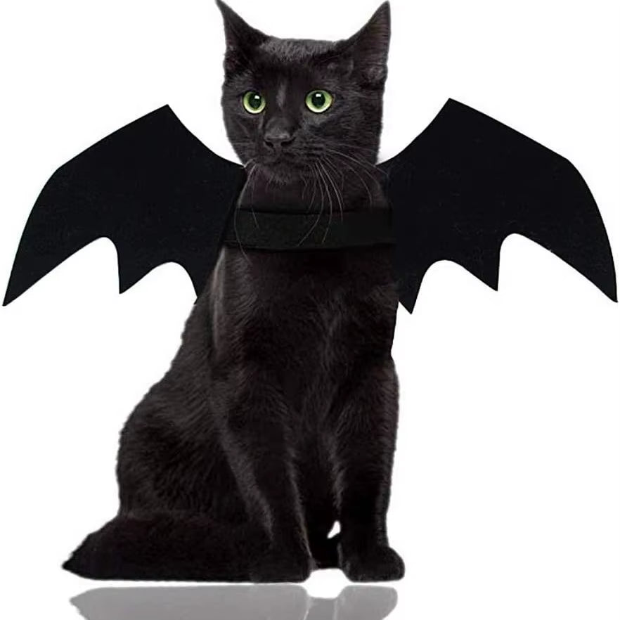 Bat Wings Cat Costume