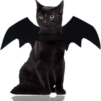 Bat Wings Cat Costume