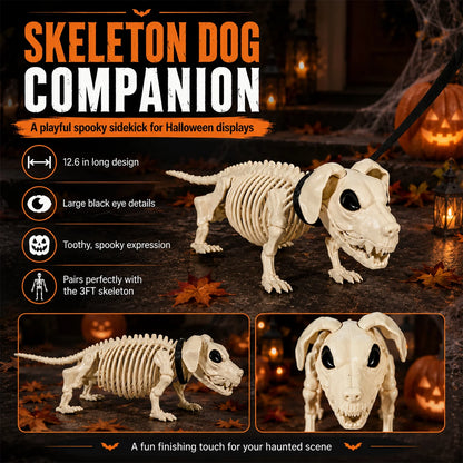 Halloween Outdoor Skeleton with Dog on a Leash (3FT)