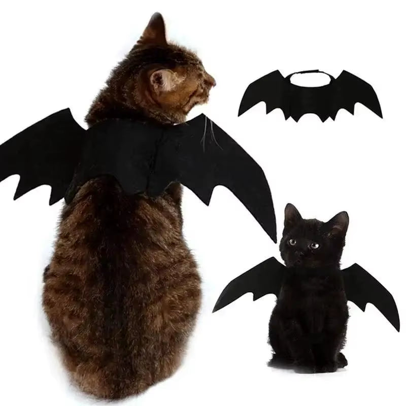 Bat Wings Cat Costume