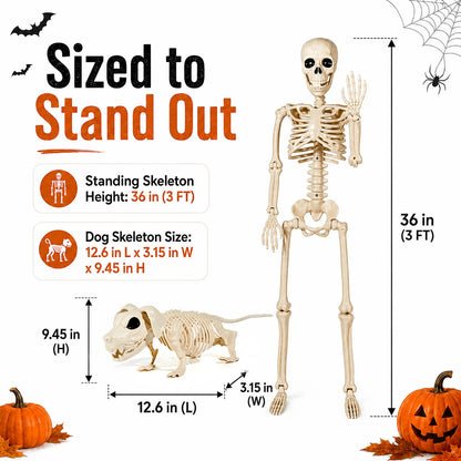 Halloween Outdoor Skeleton with Dog on a Leash (3FT)