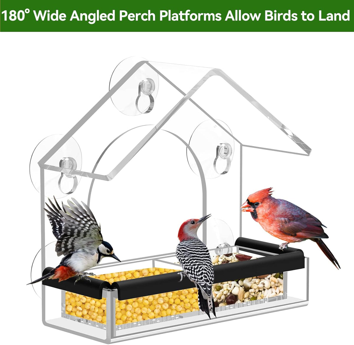 Extra Strong Clear Window Bird Feeder