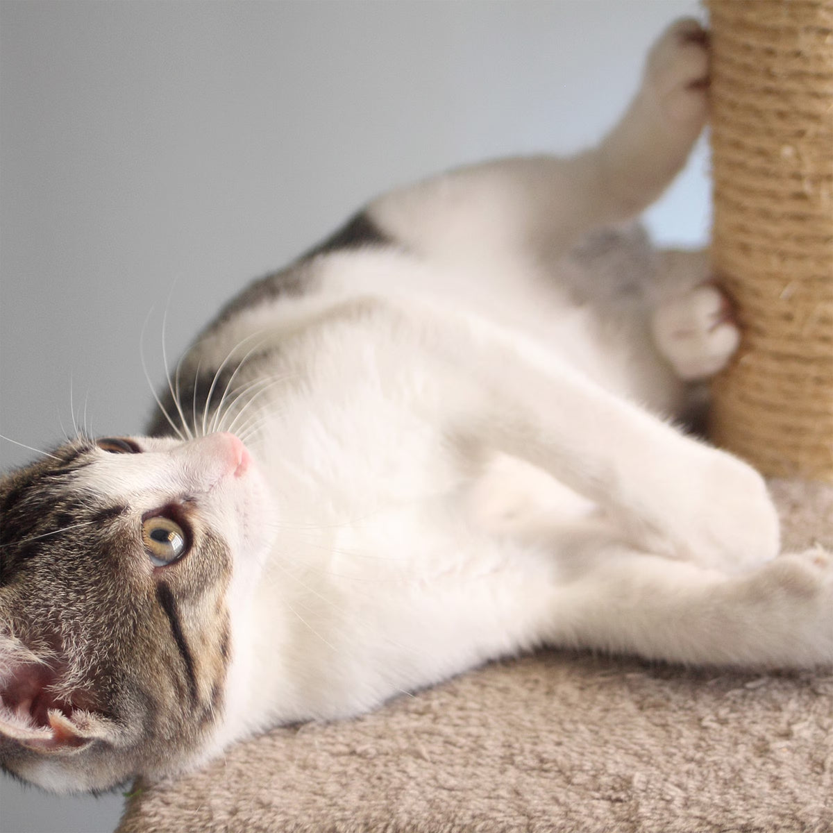 3-Tier Cat Tree with Cave