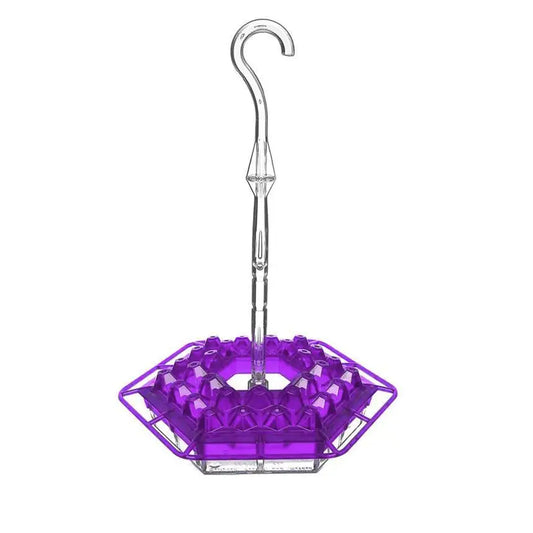 Hummingbird Feeder with Hook