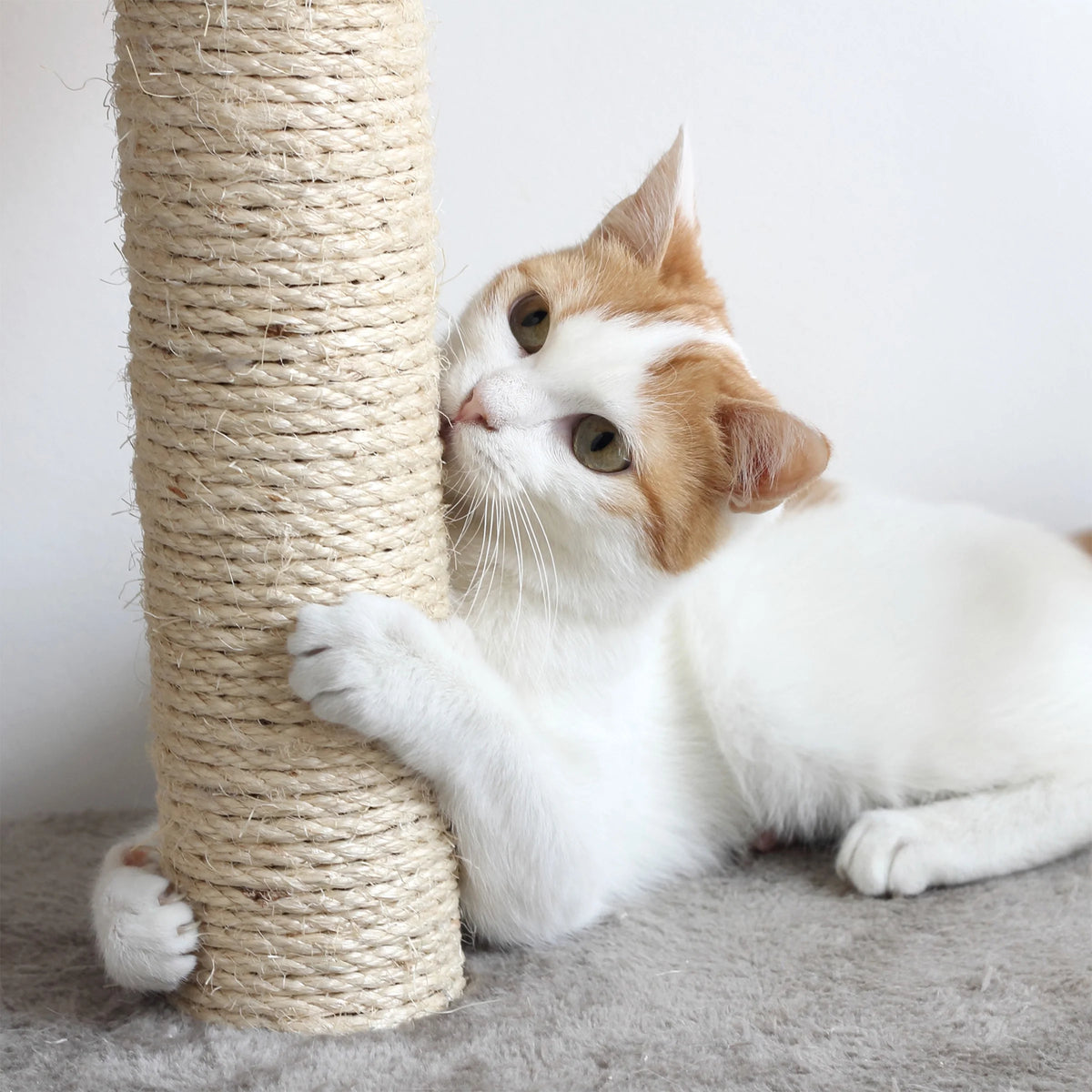 3-Tier Cat Tree with Cave