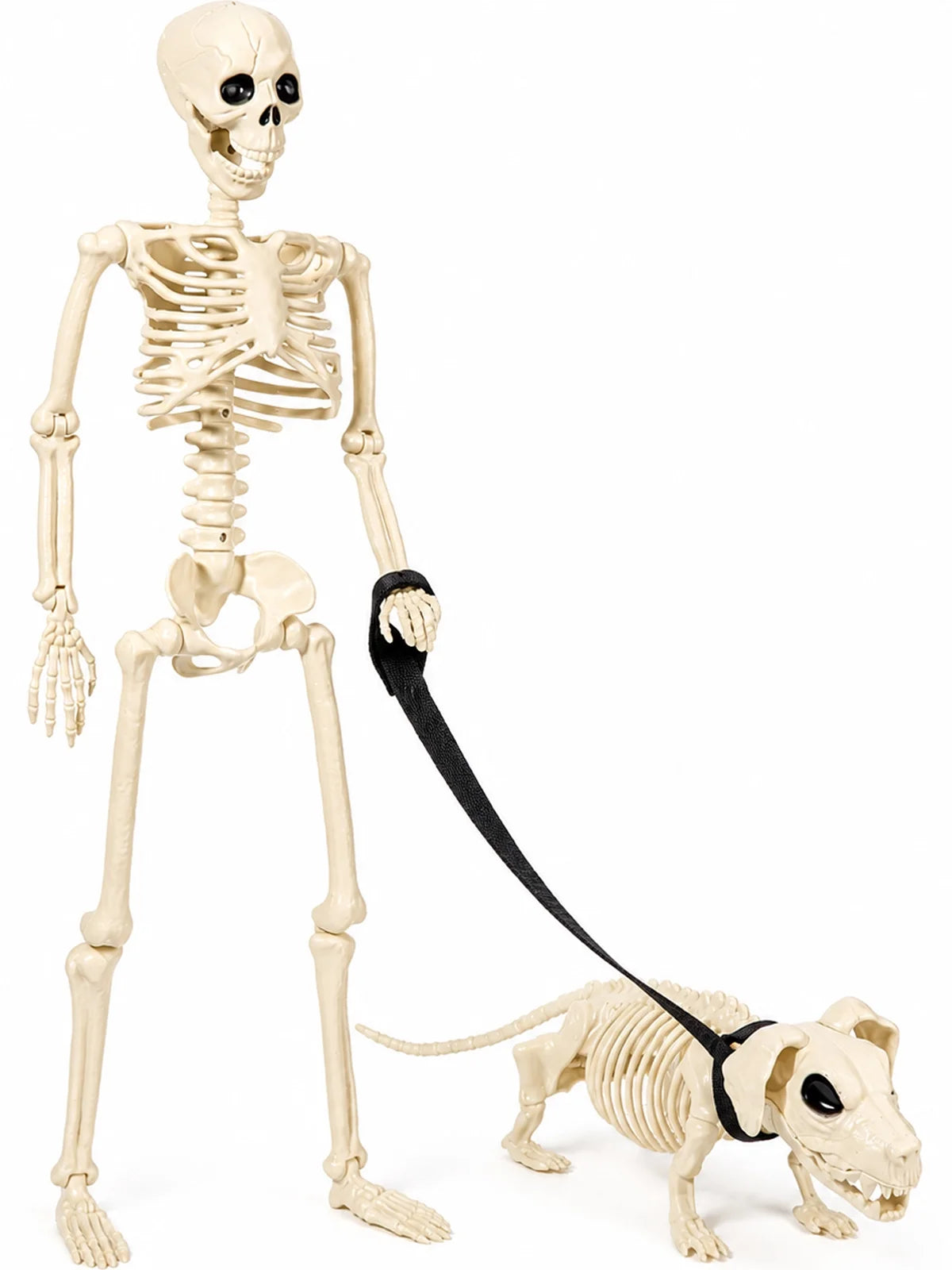 Halloween Outdoor Skeleton with Dog on a Leash (3FT)