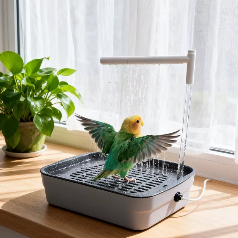 Bird Bath Tabletop Shower Basin