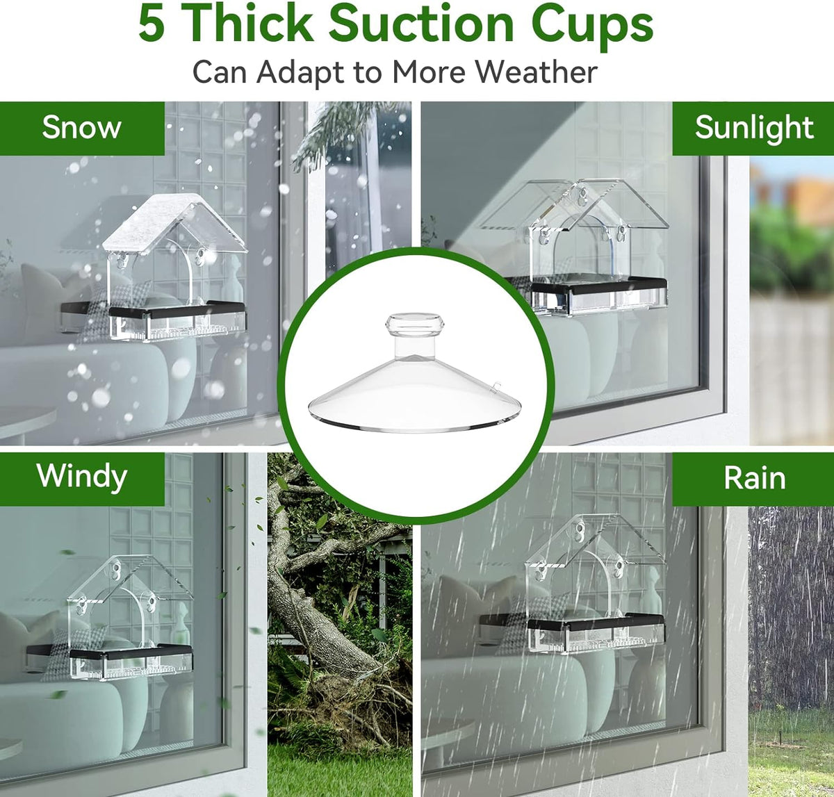 Extra Strong Clear Window Bird Feeder