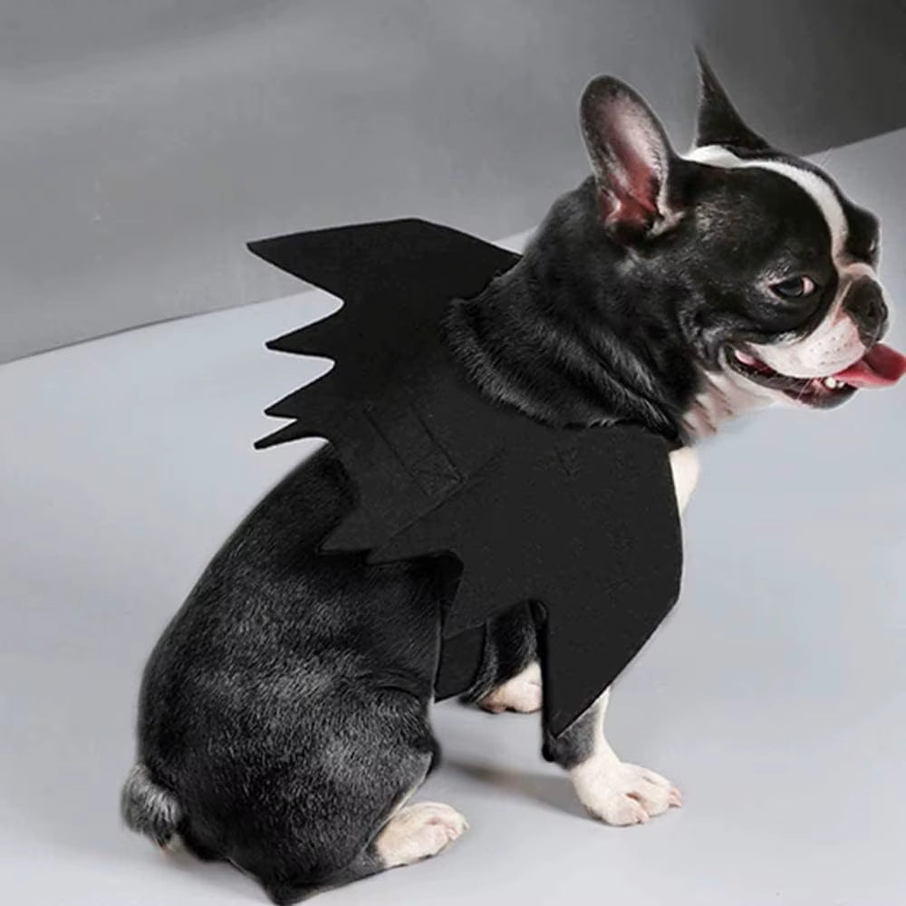 Bat Wings Cat Costume