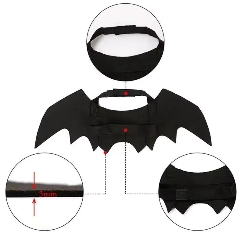 Bat Wings Cat Costume