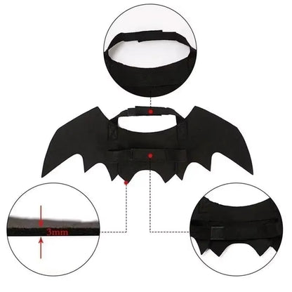 Bat Wings Cat Costume