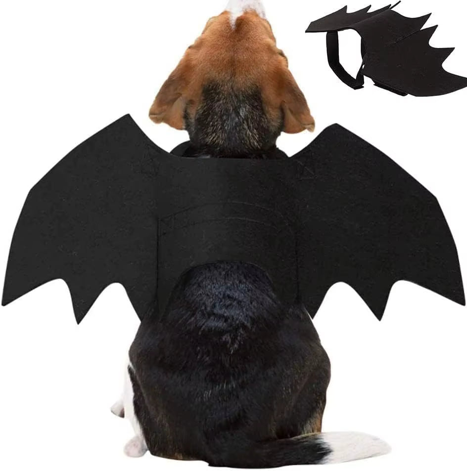 Bat Wings Cat Costume