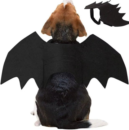 Bat Wings Cat Costume